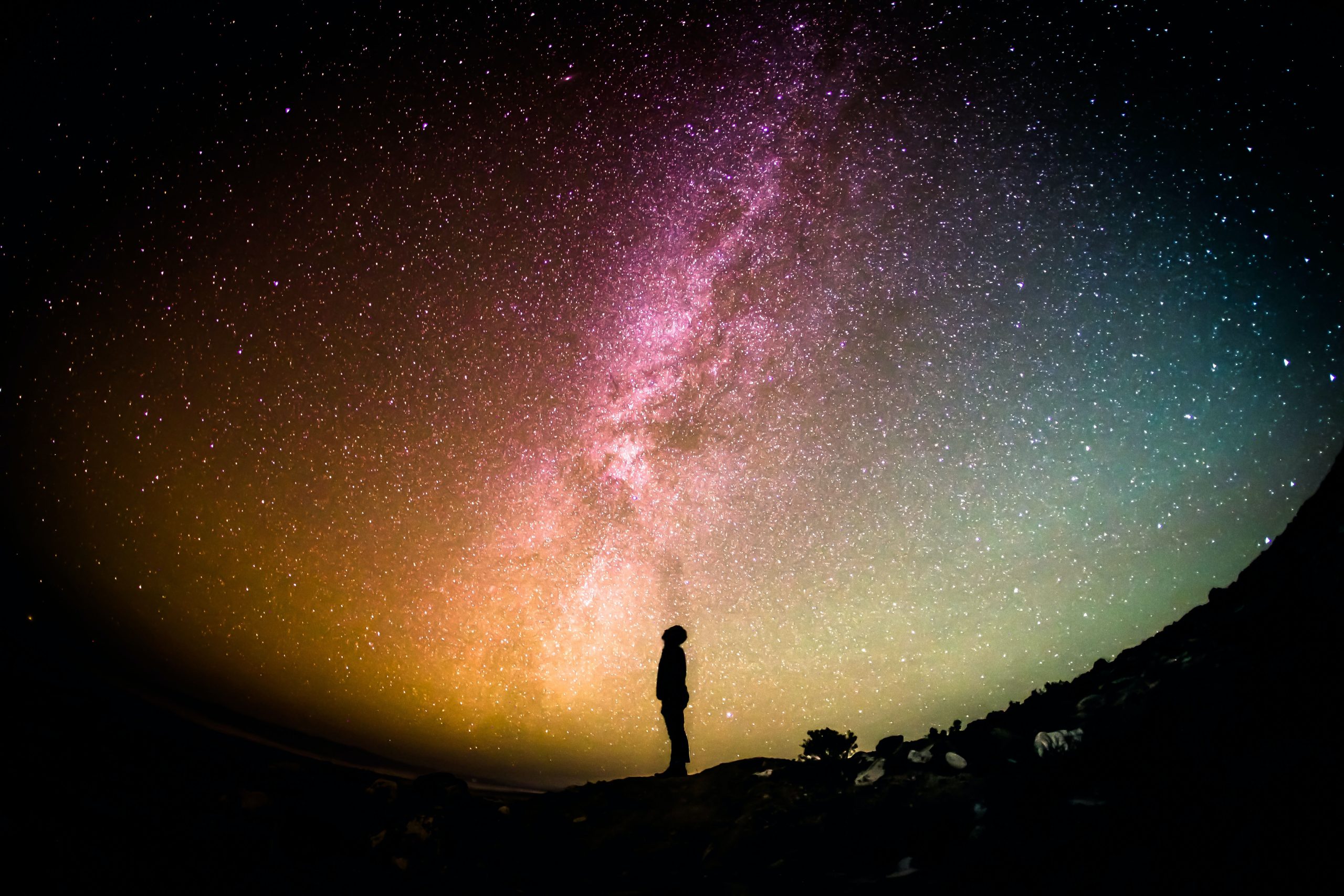 devogreg-rakozy-oMpAz-DN-9I-unsplash